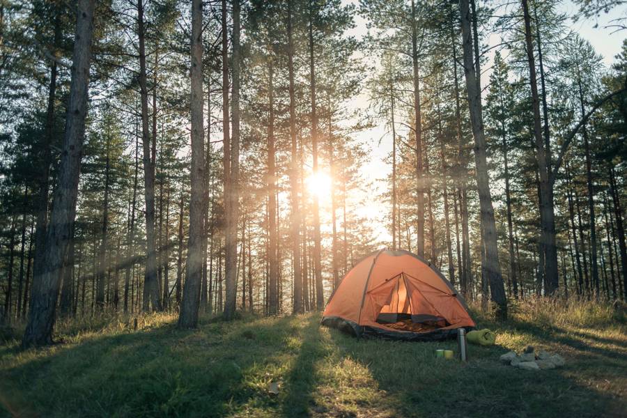 Zelt im Wald bei Sonnenaufgang